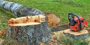 Best Tree and Shrub Care  in Milton, WV